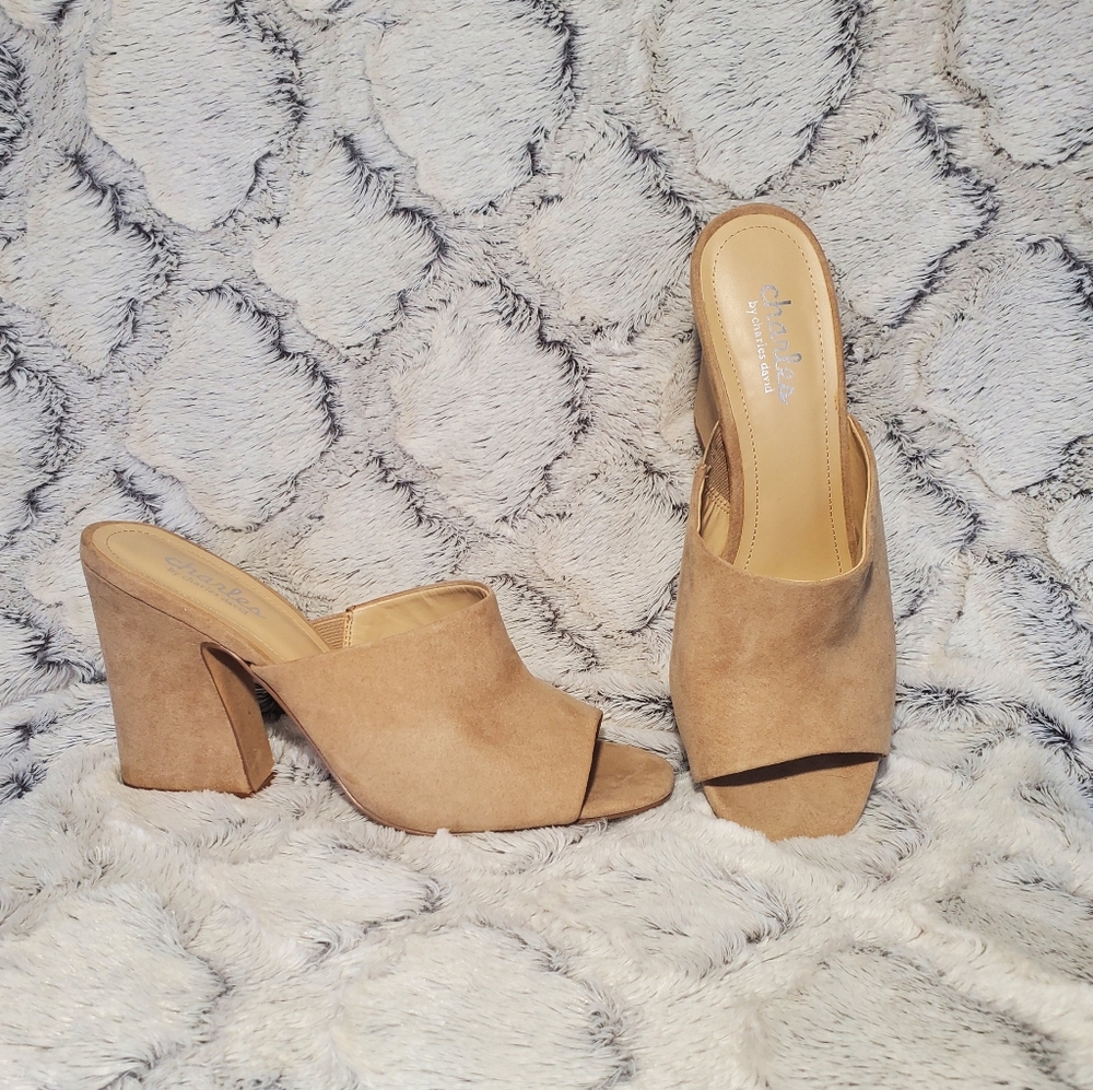 Charles by Charles David chunky heel clogs Size 10